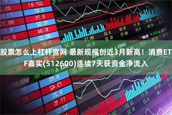 股票怎么上杠杆官网 最新规模创近3月新高！消费ETF嘉实(512600)连续7天获资金净流入