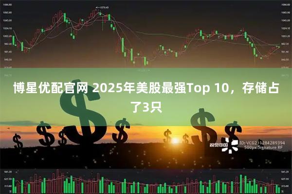 博星优配官网 2025年美股最强Top 10，存储占了3只