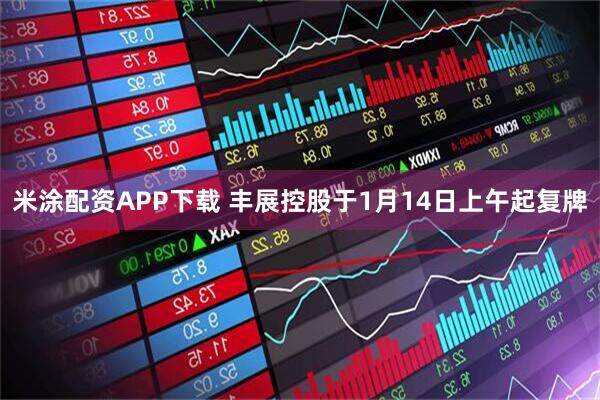米涂配资APP下载 丰展控股于1月14日上午起复牌